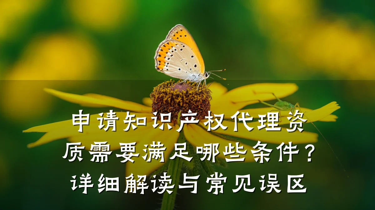 申请知识产权代理资质需要满足哪些条件?详细解读与常见误区