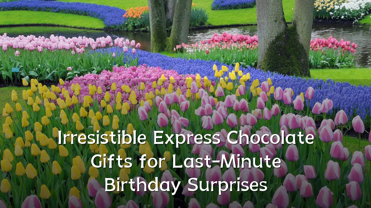 Irresistible Express Chocolate Gifts for Last-Minute Birthday Surprises