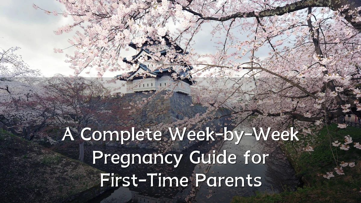 A Complete Week-by-Week Pregnancy Guide for First-Time Parents