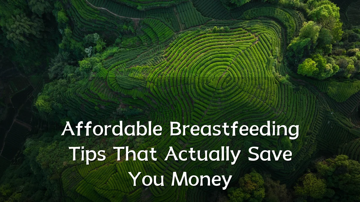 Affordable Breastfeeding Tips That Actually Save You Money