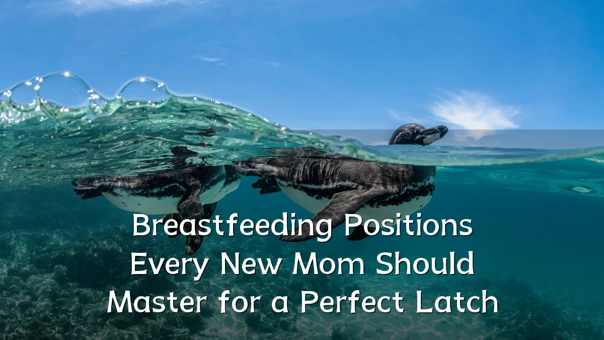 Breastfeeding Positions Every New Mom Should Master for a Perfect Latch