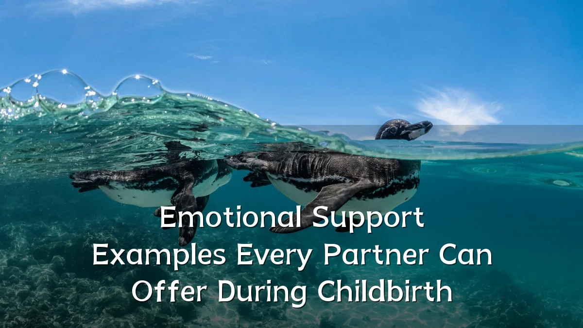 Emotional Support Examples Every Partner Can Offer During Childbirth