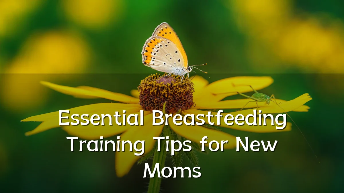 Essential Breastfeeding Training Tips for New Moms