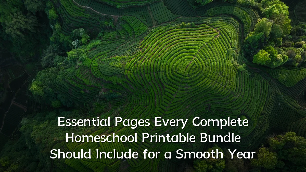 Essential Pages Every Complete Homeschool Printable Bundle Should Include for a Smooth Year