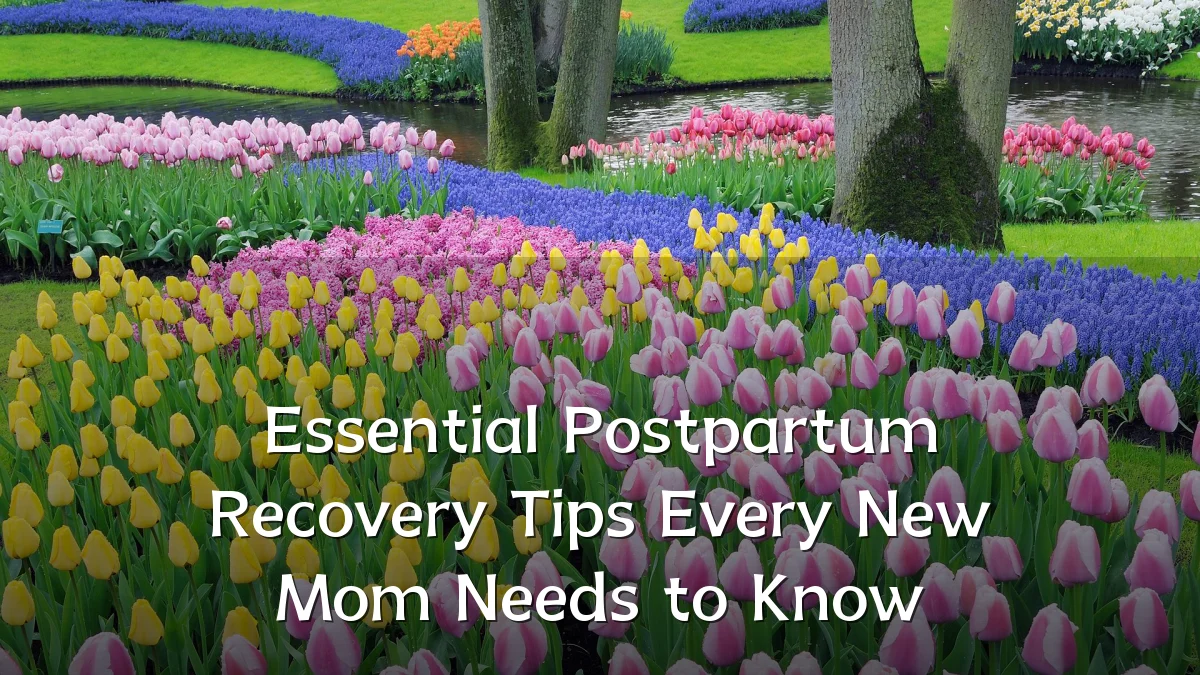 Essential Postpartum Recovery Tips Every New Mom Needs to Know