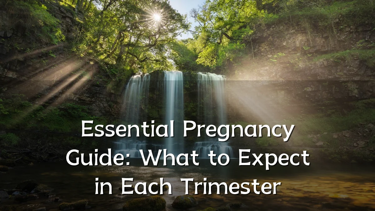 Essential Pregnancy Guide: What to Expect in Each Trimester