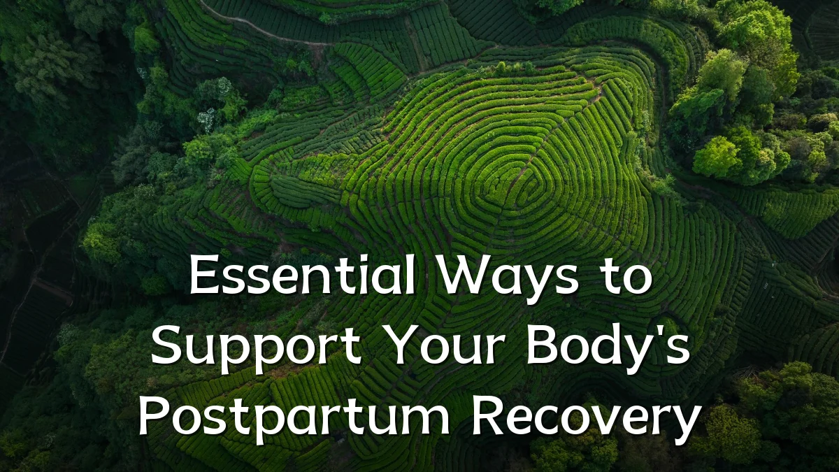 Essential Ways to Support Your Body's Postpartum Recovery