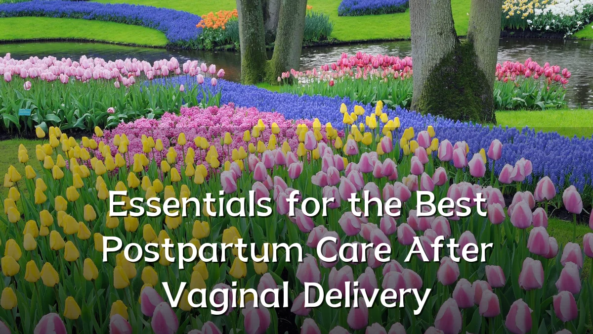 Essentials for the Best Postpartum Care After Vaginal Delivery