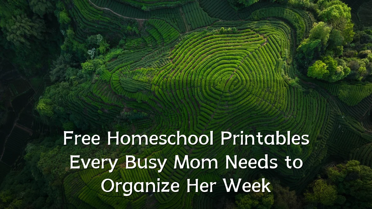 Free Homeschool Printables Every Busy Mom Needs to Organize Her Week
