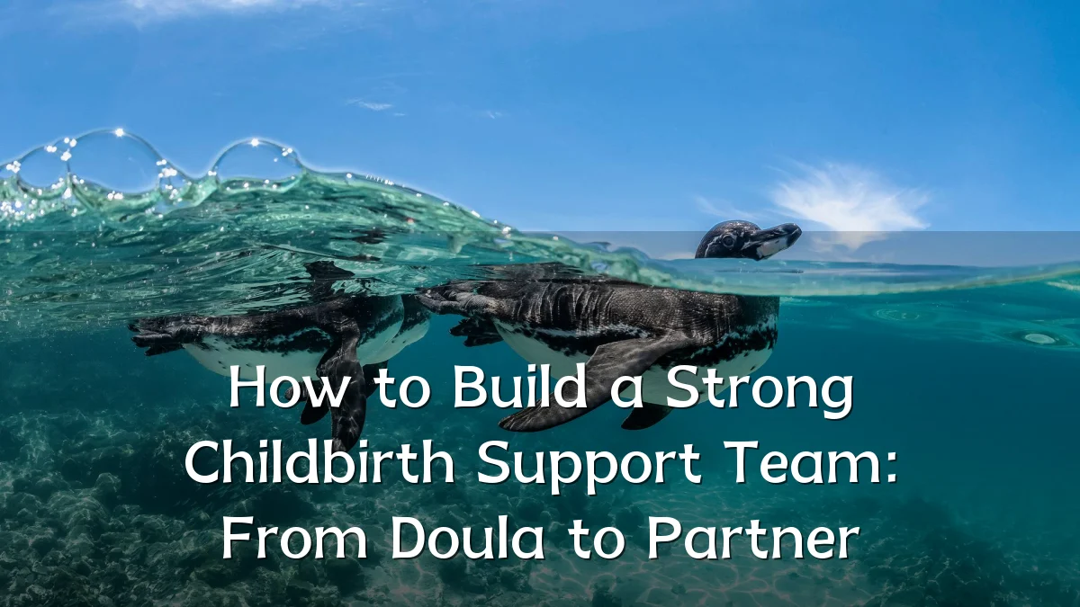 How to Build a Strong Childbirth Support Team: From Doula to Partner