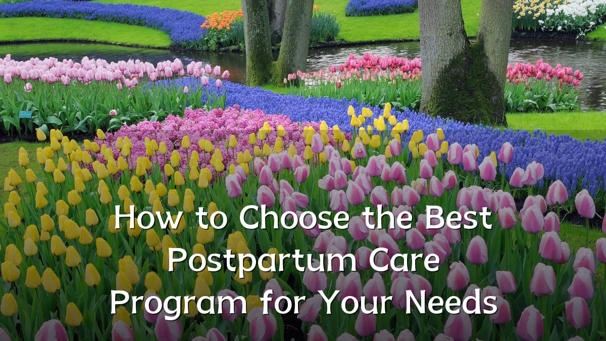 How to Choose the Best Postpartum Care Program for Your Needs