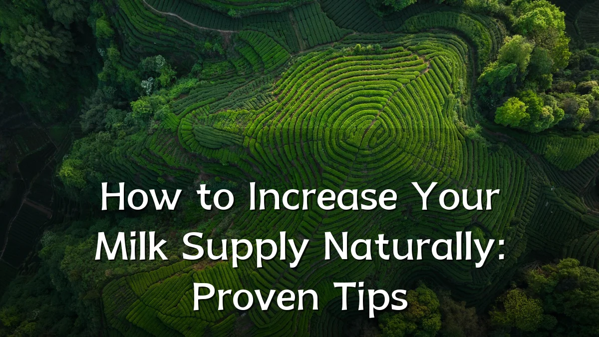 How to Increase Your Milk Supply Naturally: Proven Tips