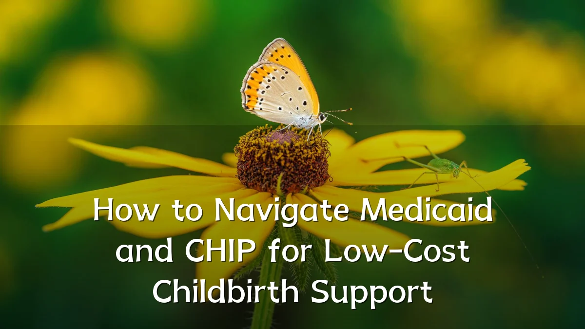 How to Navigate Medicaid and CHIP for Low-Cost Childbirth Support