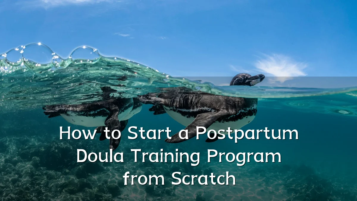 How to Start a Postpartum Doula Training Program from Scratch