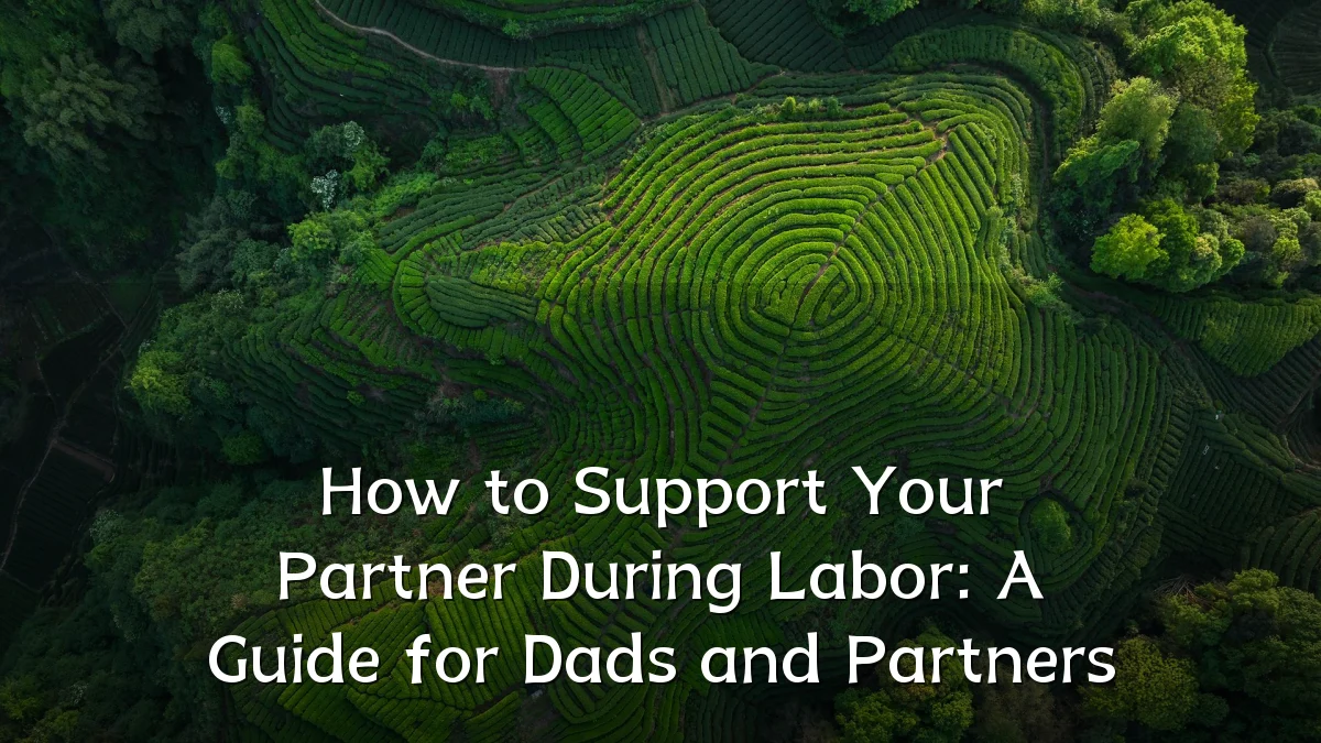 How to Support Your Partner During Labor: A Guide for Dads and Partners