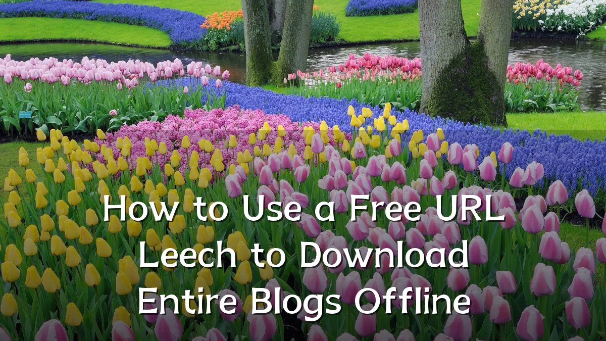 How to Use a Free URL Leech to Download Entire Blogs Offline