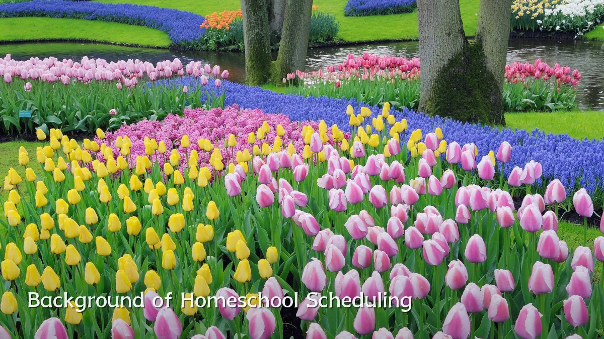 Background of Homeschool Scheduling