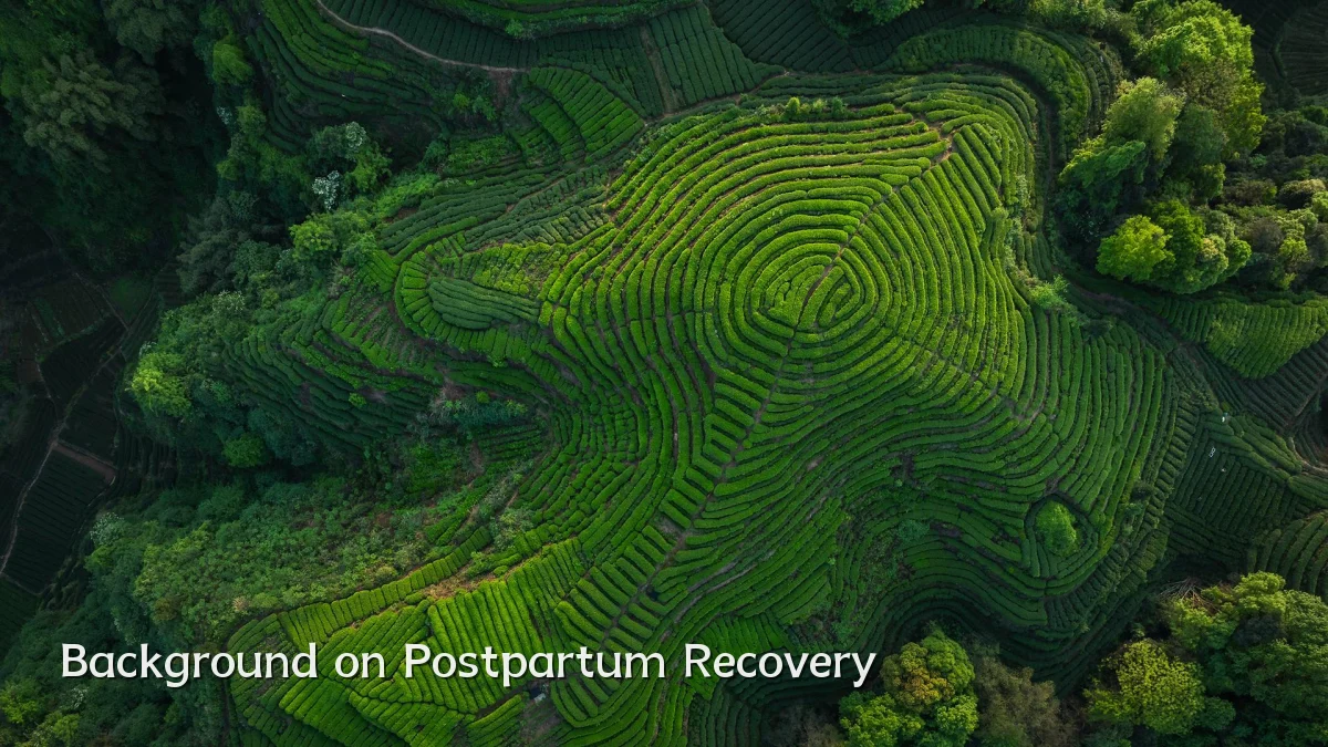 Background on Postpartum Recovery