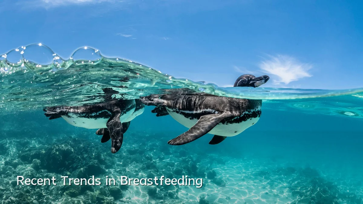 Recent Trends in Breastfeeding