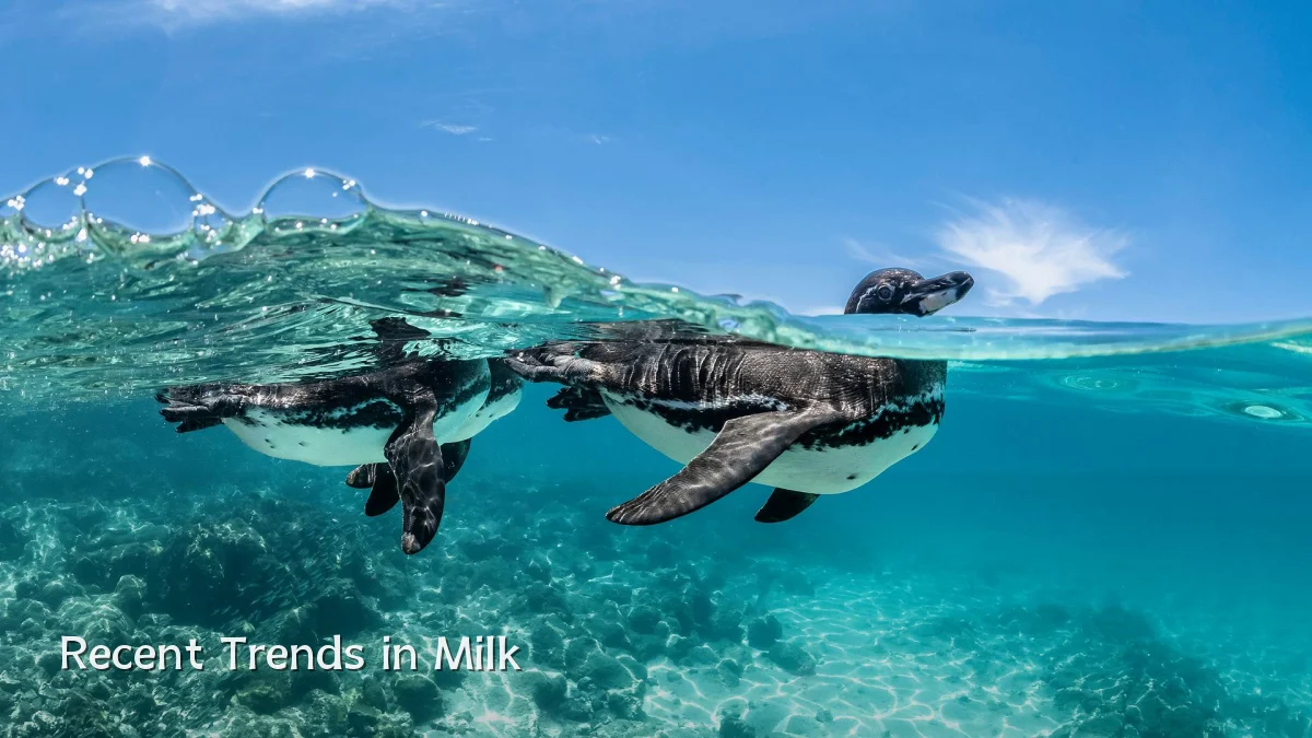 Recent Trends in Milk