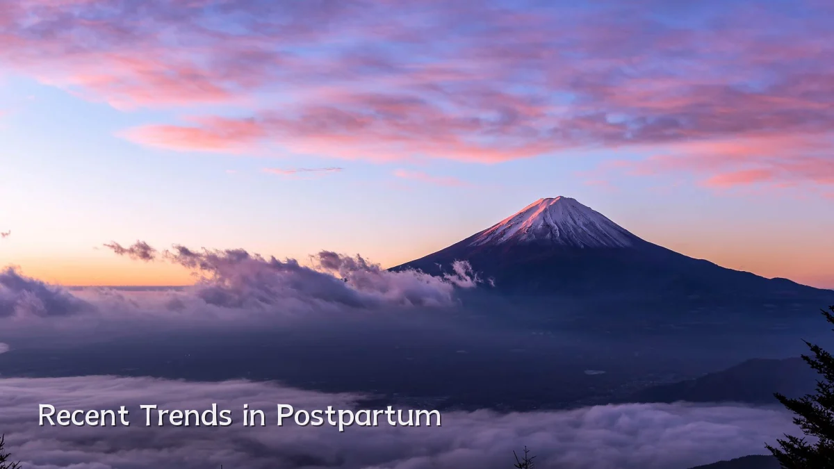 Recent Trends in Postpartum