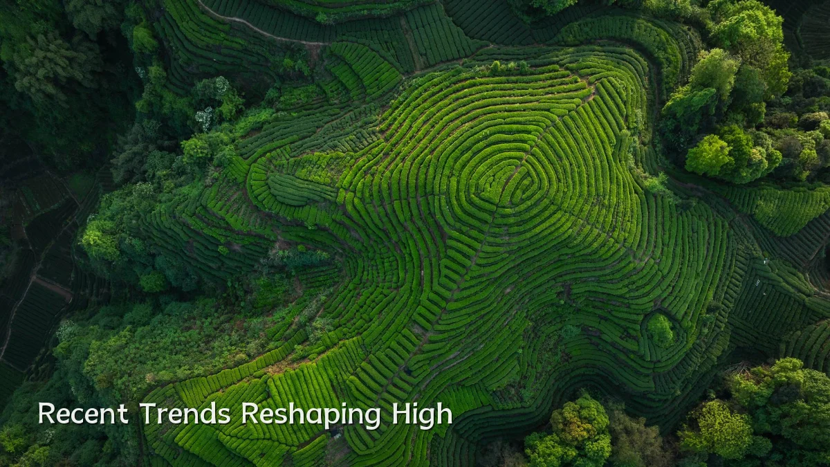 Recent Trends Reshaping High