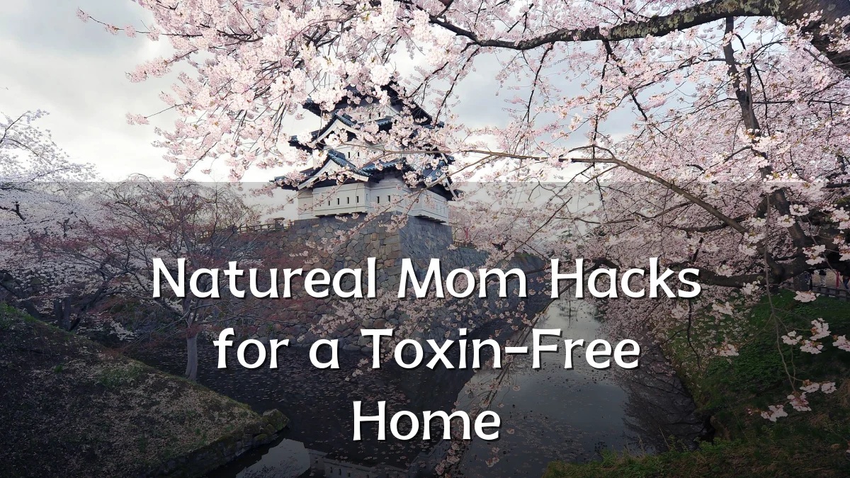 Natureal Mom Hacks for a Toxin-Free Home