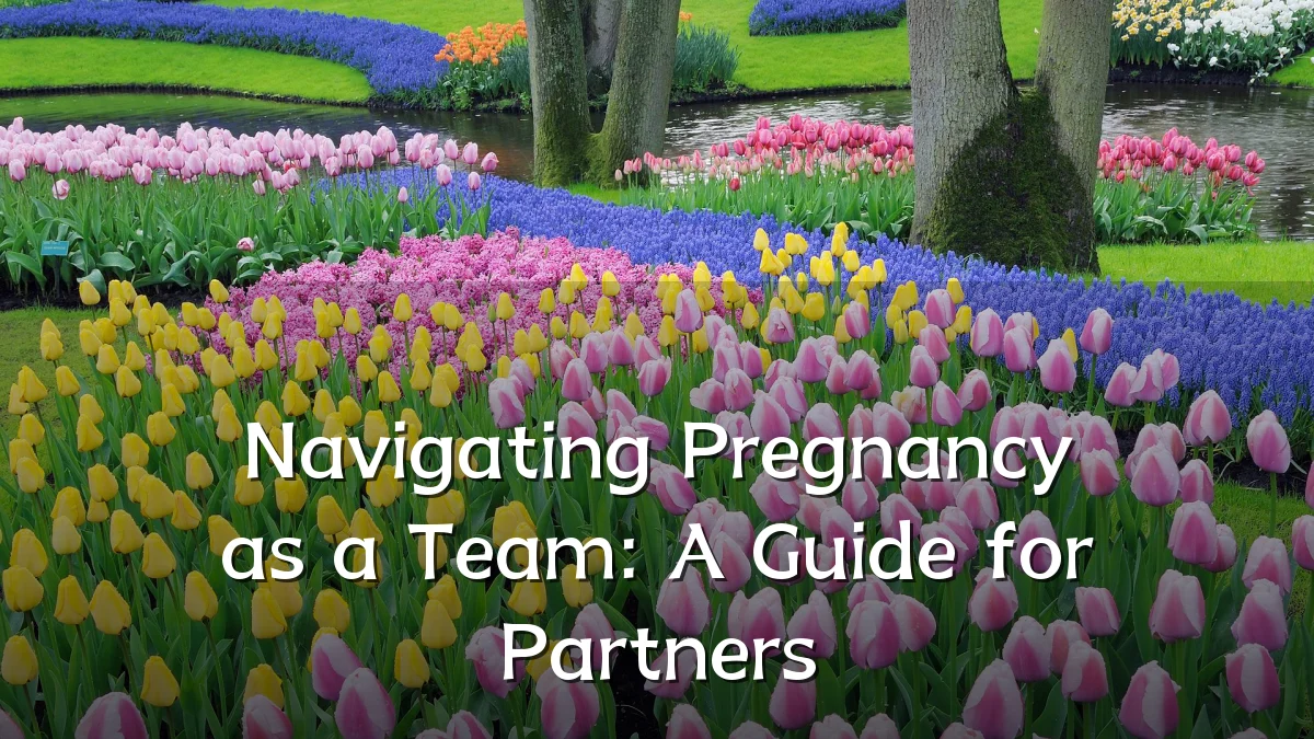 Navigating Pregnancy as a Team: A Guide for Partners