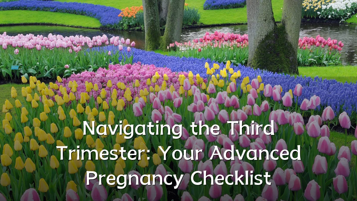 Navigating the Third Trimester: Your Advanced Pregnancy Checklist