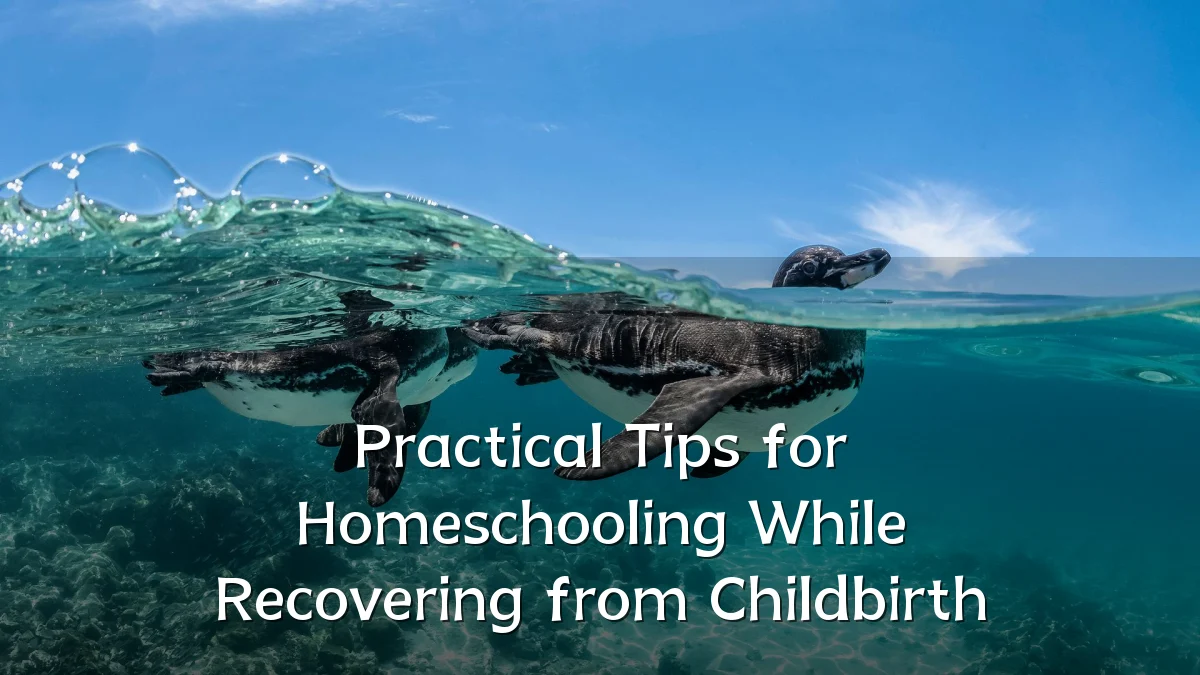 Practical Tips for Homeschooling While Recovering from Childbirth