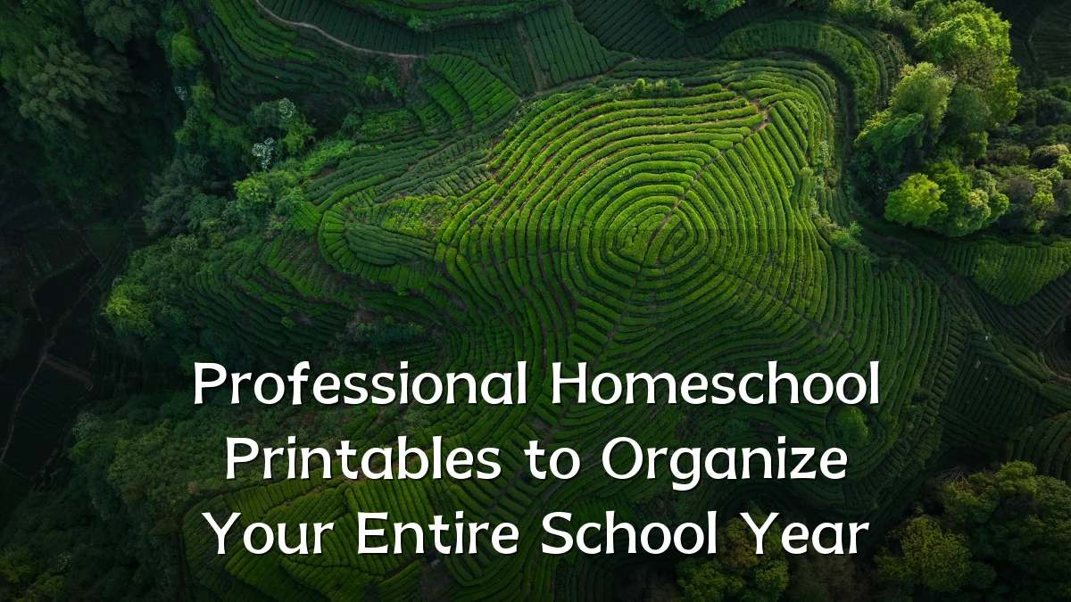 Professional Homeschool Printables to Organize Your Entire School Year