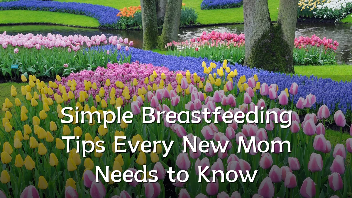 Simple Breastfeeding Tips Every New Mom Needs to Know