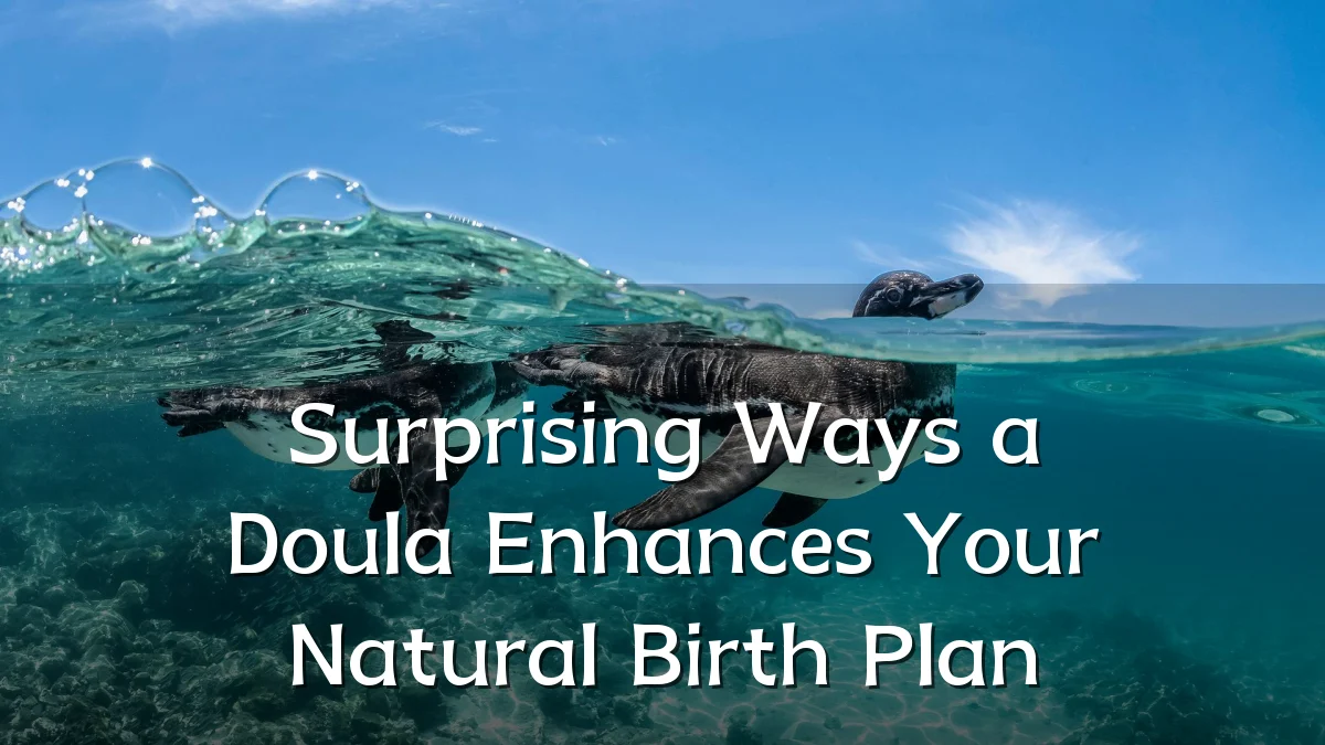 Surprising Ways a Doula Enhances Your Natural Birth Plan
