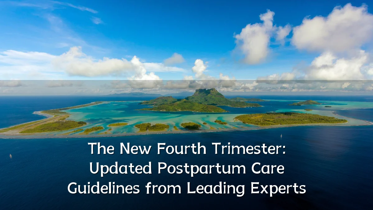 The New Fourth Trimester: Updated Postpartum Care Guidelines from Leading Experts