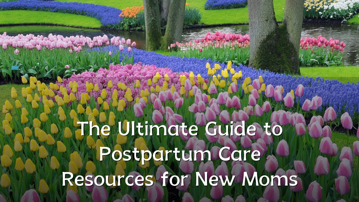 The Ultimate Guide to Postpartum Care Resources for New Moms