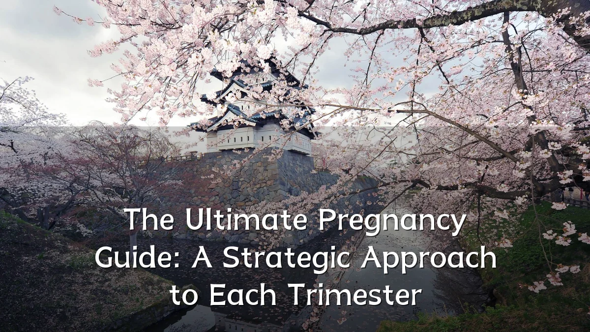 The Ultimate Pregnancy Guide: A Strategic Approach to Each Trimester