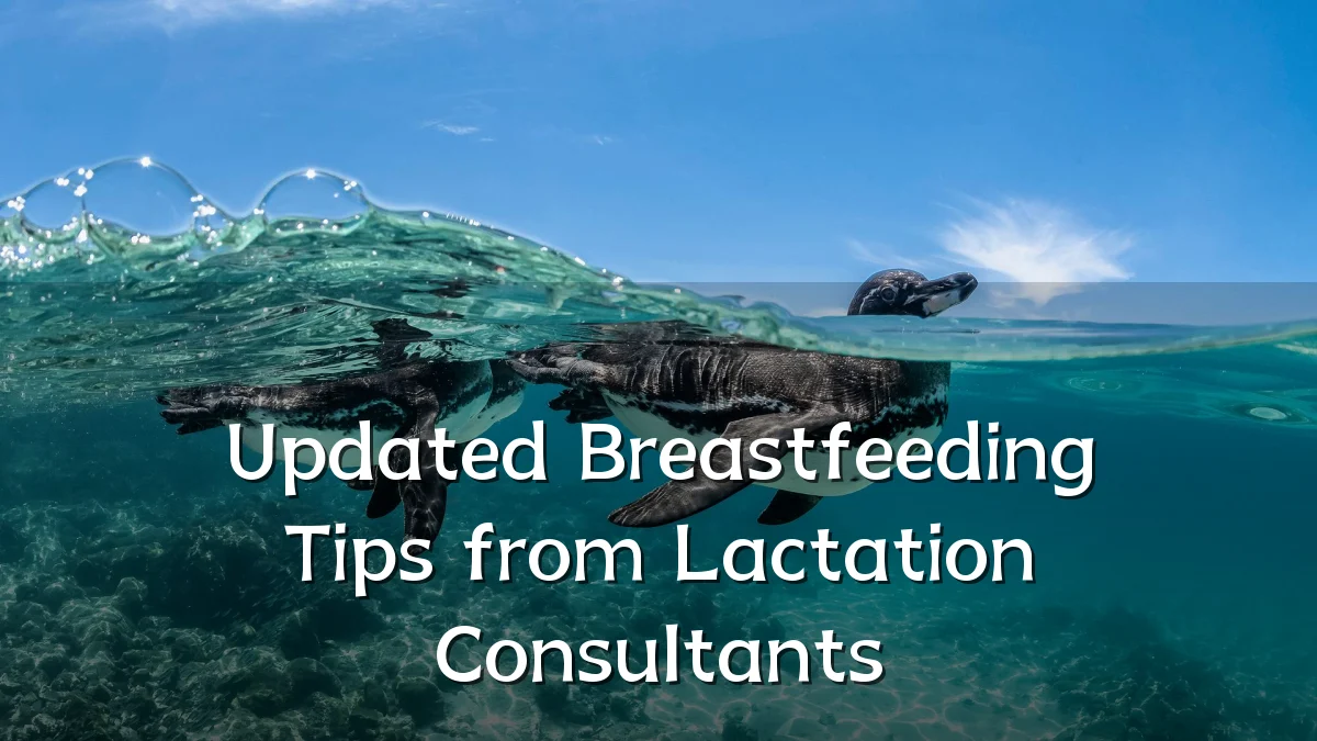 Updated Breastfeeding Tips from Lactation Consultants