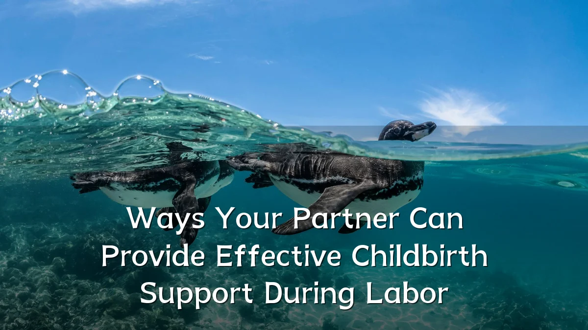 Ways Your Partner Can Provide Effective Childbirth Support During Labor