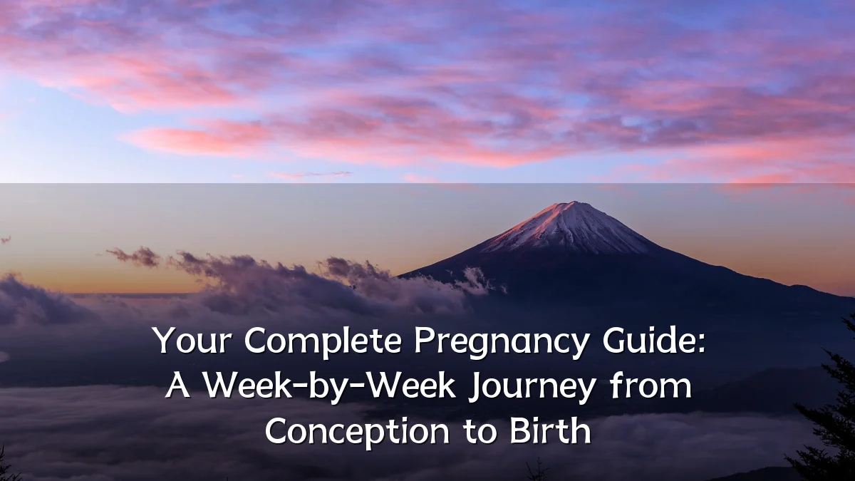 Your Complete Pregnancy Guide: A Week-by-Week Journey from Conception to Birth