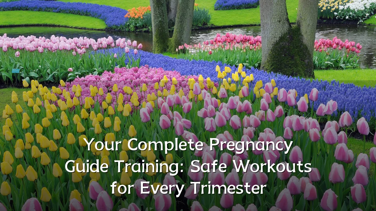 Your Complete Pregnancy Guide Training: Safe Workouts for Every Trimester