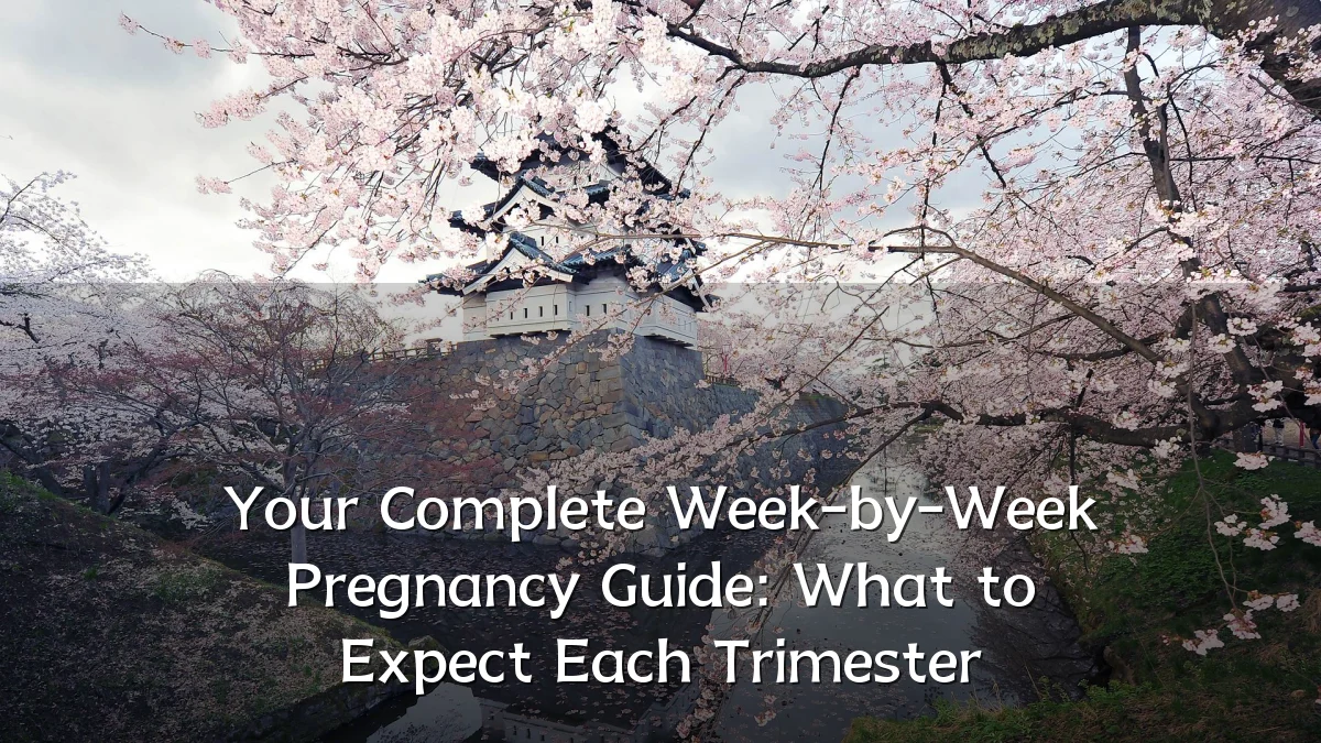 Your Complete Week-by-Week Pregnancy Guide: What to Expect Each Trimester