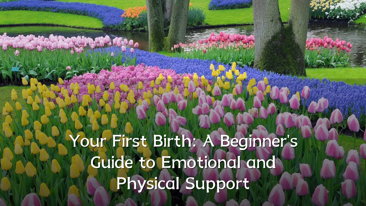 Your First Birth: A Beginner's Guide to Emotional and Physical Support