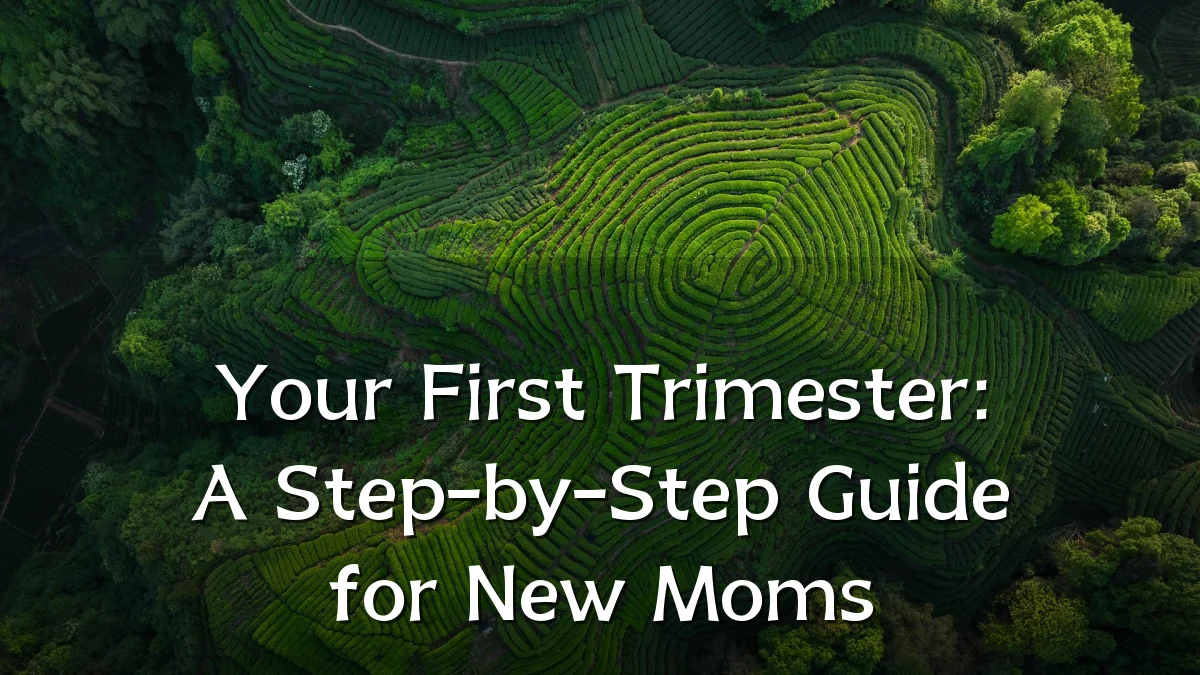 Your First Trimester: A Step-by-Step Guide for New Moms