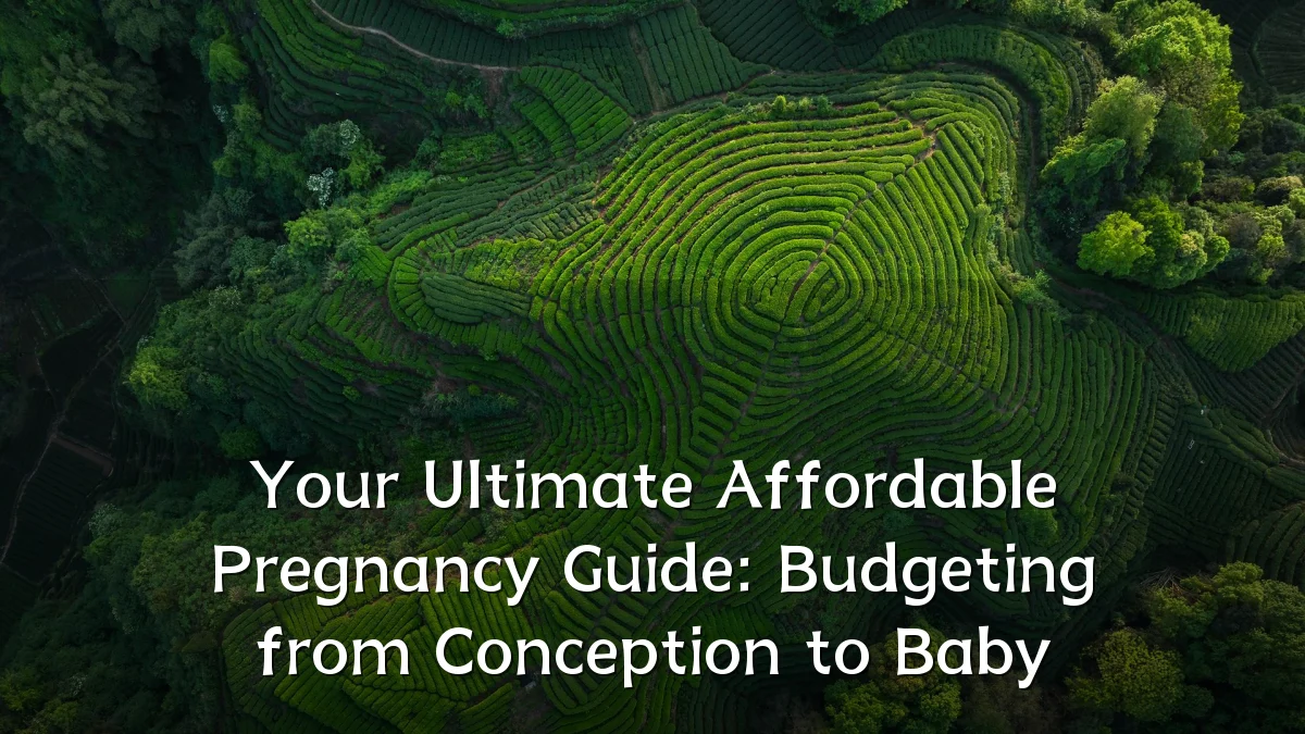Your Ultimate Affordable Pregnancy Guide: Budgeting from Conception to Baby