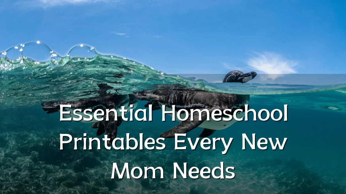 Essential Homeschool Printables Every New Mom Needs