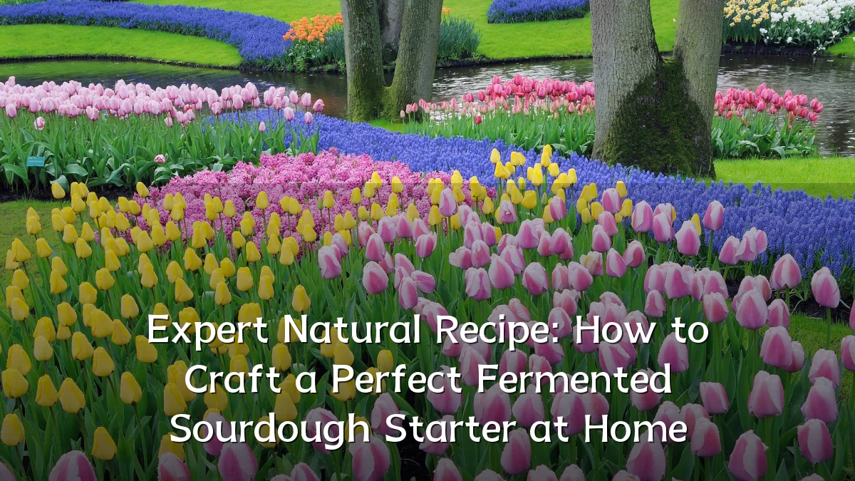 Expert Natural Recipe: How to Craft a Perfect Fermented Sourdough Starter at Home