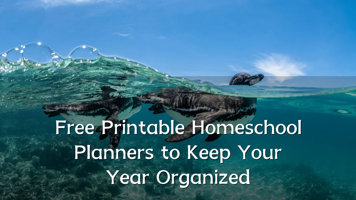 Free Printable Homeschool Planners to Keep Your Year Organized