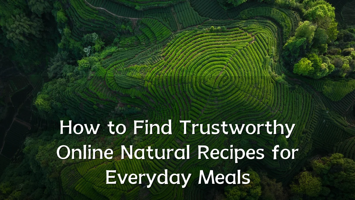 How to Find Trustworthy Online Natural Recipes for Everyday Meals