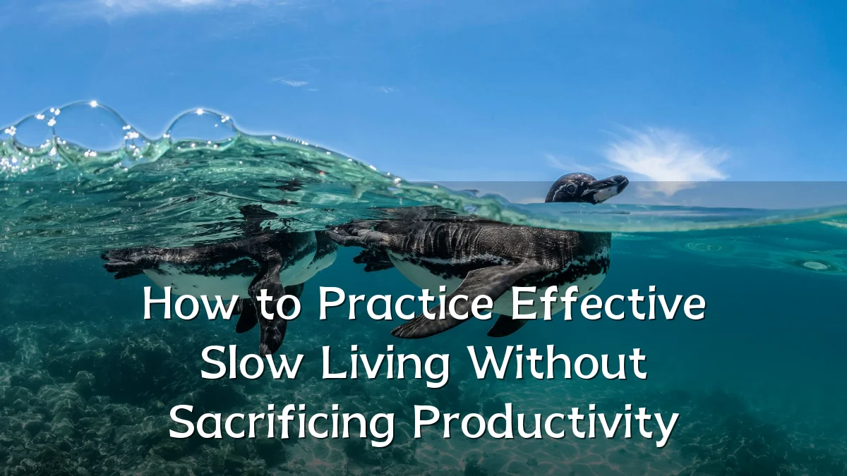 How to Practice Effective Slow Living Without Sacrificing Productivity