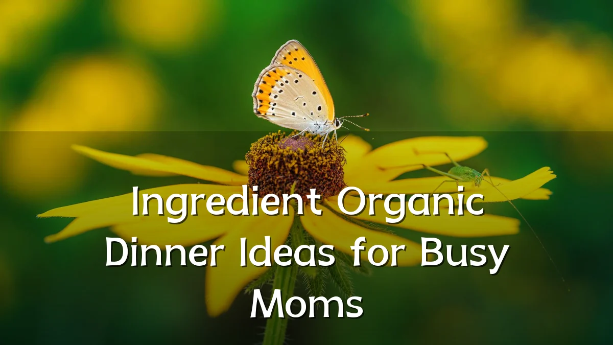 Ingredient Organic Dinner Ideas for Busy Moms